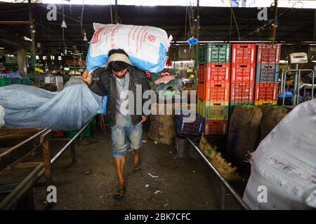 Kathmandu, Nepal. Mai 2020. Ein Arbeiter trägt während des Internationalen Tages der Arbeiter oder des Tages der Arbeit einen Sack voll Gemüse auf einem Gemüsemarkt inmitten der Corona-Virus-Sperre in Kathmandu, Nepal am 1. Mai 2020. (Foto von Subash Shrestha/Pacific Press/Sipa USA) Quelle: SIPA USA/Alamy Live News Stockfoto