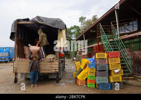 Kathmandu, Nepal. Mai 2020. Ein Arbeiter trägt während des Internationalen Tages der Arbeiter oder des Tages der Arbeit einen Sack voll Gemüse auf einem Gemüsemarkt inmitten der Corona-Virus-Sperre in Kathmandu, Nepal am 1. Mai 2020. (Foto von Subash Shrestha/Pacific Press/Sipa USA) Quelle: SIPA USA/Alamy Live News Stockfoto