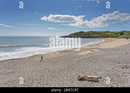 Der fast menschenleere Strand in Langland Bay Stockfoto