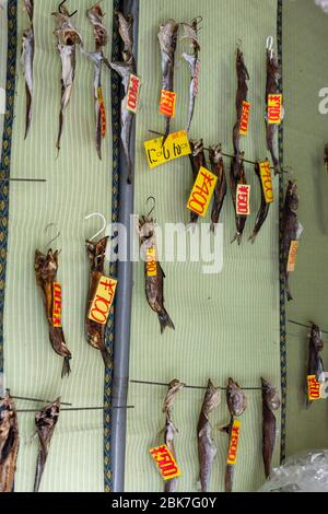 Getrockneter Fisch Zum Aufhängen, Otaru, Japan Stockfoto