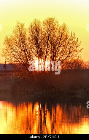 Die Sonne geht hinter einem Baum an einem Flussufer unter Stockfoto