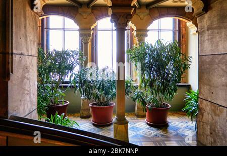 Behälter mit Pflanzen aus dem Garten in Schloss Wernigerode. Stockfoto