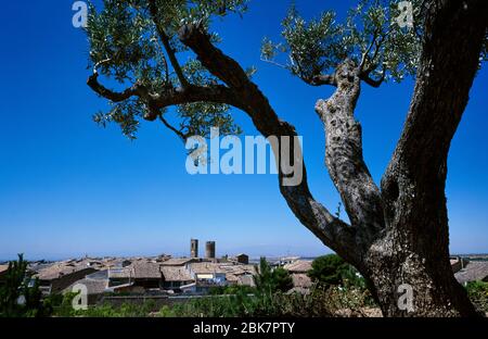 Spanien, Katalonien, Region Urgell, Provinz Lleida, Verdu. Allgemeine Ansicht des Dorfes. Im Vordergrund ein Olivenbaum. Stockfoto