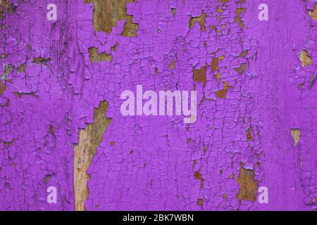 Alte Flieder blätterte von der Farbe auf einem Holzbrett ab. Risse in der Farbe auf einem Zaun Nahaufnahme. Hintergrund Holz mit Rissen bemalt. Die Textur der violetten Farbe. Stockfoto