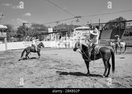 Mexikanische Cowboys, die an einer der Veranstaltungen einer "Charreria" teilnehmen, die einen Stier mit einem Lasso fangen und ihn niederschlagen wird. Charrerias sind t Stockfoto