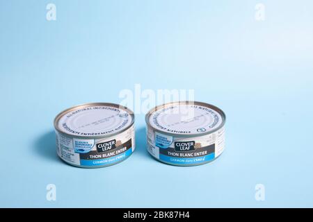 11. April 2020: Halifax, Kanada - zwei einzelne Dosen Thunfisch von Clover Leaf vor blauem Hintergrund Stockfoto