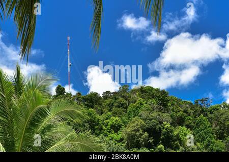Telekommunikationsturm mit Antenne mitten im Dschungel mit blauem Himmel im Hintergrund. Basisstation für 5G-Mobilfunkstandort. Drahtlose Kommunikation Stockfoto