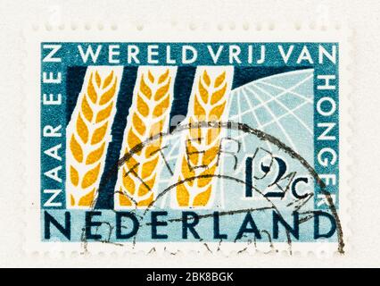 SEATTLE WASHINGTON - 1. Mai 2020: 1963 Briefmarke der Niederlande mit Weizen (Mais) mit Globus im Hintergrund, die Förderung der Ernährungssicherheit,. Scott # 413 Stockfoto