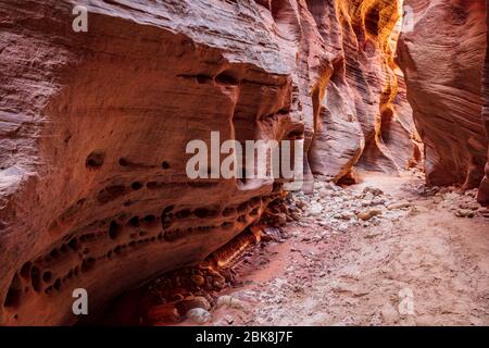 Buckskin Gulch Slot Canyon an der Grenze zu Arizona, Utah Stockfoto