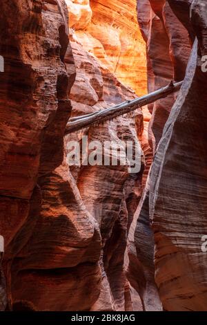 Buckskin Gulch Slot Canyon an der Grenze zu Arizona, Utah Stockfoto