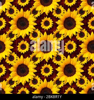 Sonnenblumen Blumen nahtlose Muster-Design auf strukturierten roten Flanell kariert Stoff nahtlose Muster Hintergrund. Kann gekachelt werden Stockfoto