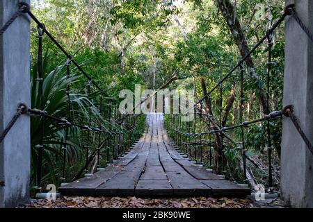 Hängebrücke angeordnet, um durch die archäologische Stätte von El Mirador zu gehen. Stockfoto