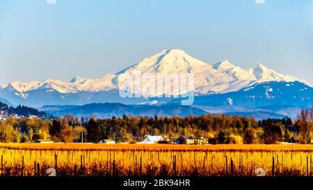 Sonnenuntergang über Mount Baker, einem schlafenden Vulkan im Bundesstaat Washington. Wir haben uns das Glen Valley in der Nähe von Abbotsford, British Columbia, Kanada, angesehen Stockfoto