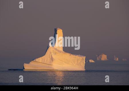 Eisberge im Abendlicht, Grönland Stockfoto