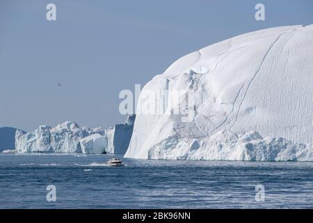 Motorboot und Eisberg, Ilulissat, Grönland Stockfoto