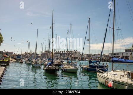 Segelboote, die an einem sonnigen Sommertag im Hafen von Weymouth festgemacht sind, mit über dem Kopf fliegenden Möwen in Dorset, England Stockfoto