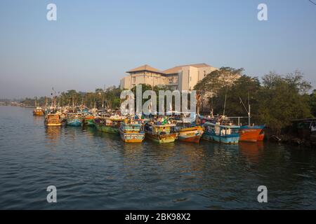 Fischerboote im Hafen von Negombo, Sri Lanka Stockfoto