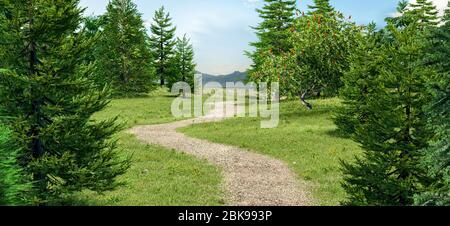 Pfad im Grasfeld mit Pinien. 3D-Rendering. Stockfoto