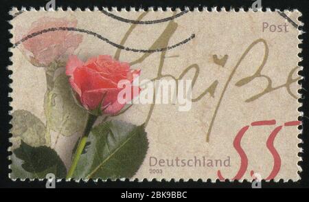 DEUTSCHLAND- UM 2003: Briefmarke gedruckt von Deutschland, zeigt Rose, um 2003. Stockfoto