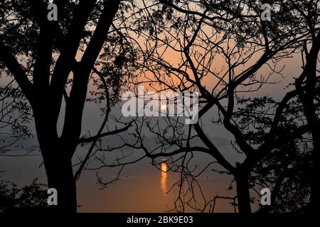 Sonnenaufgang im Thol Wildlife Sanctuary Stockfoto