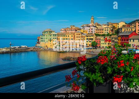 Mediterranes Strandresort mit farbenfrohen Gebäuden Blick von der blumigen Terrasse, Bogliasco, Ligurien, Italien, Europa Stockfoto