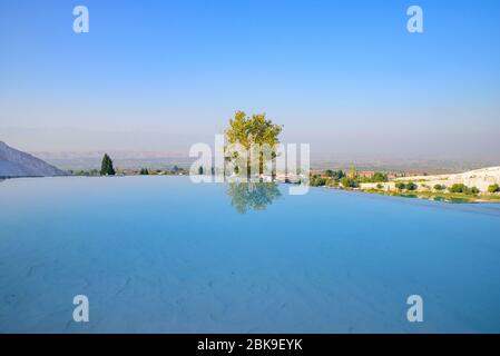 Ein Baum und Reflexion am Pool in Pamukkale (Baumwollschloss), Denizli, Türkei Stockfoto