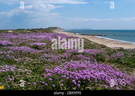 Southbourne,Bournemouth, UK-12. Mai 2019: Fotos von Southbourne Beach. Stockfoto