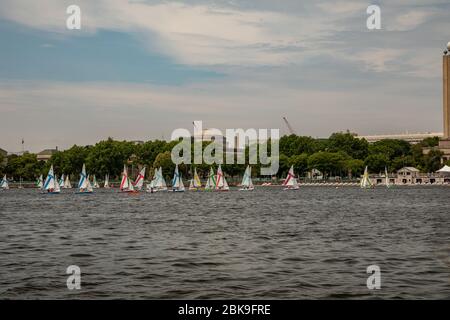 Segelclub auf dem Wasser am mit, Charles River Boston Stockfoto