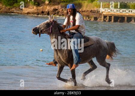 Smugglers Cove, St. Lucia-11. Dezember 2010: Almond Resort, Smugglers Cove, St. Lucia-11. Dezember 2010: Die Einheimischen St. Lucian genießen einen Gallop am Strand Stockfoto