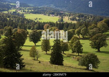 Hochene von Les Pontins am Fuss des Chasseral im gleichgroßen Naturpark Stockfoto