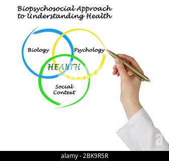 Biopsychosozialer Ansatz zum Verständnis der Gesundheit Stockfoto