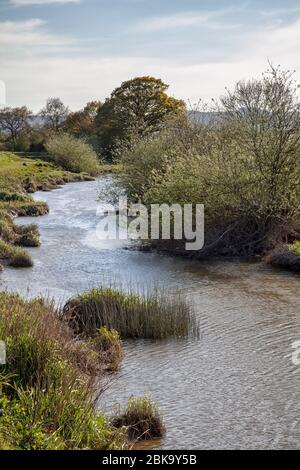 Ufer für den Fluss Adur in West Sussex Stockfoto