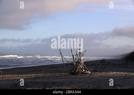 Treibholz. Driftwood am launischen Waikuku Surf Beach, Pegasus Bay, Canterbury, Eastern Coast, South Island, Neuseeland. Keine Leute. Stockfoto