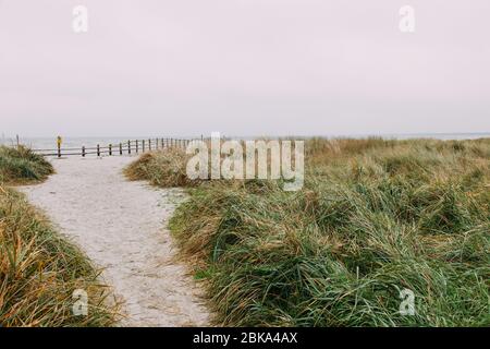 Schönes Wahrzeichen darß an der ostsee in deutschland Stockfoto