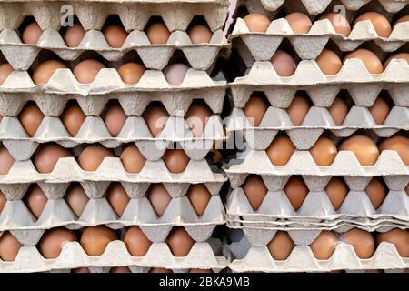 Frische Eier im Karton auf dem Markt Stockfoto