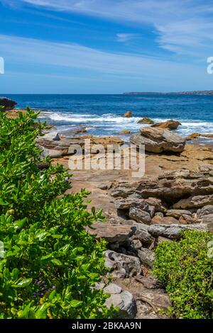 Blick auf Bondi Beach, Sydney, New South Wales, New South Wales, Australien Stockfoto