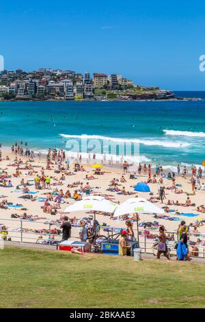 Blick auf Bondi Beach, Sydney, New South Wales, New South Wales, Australien Stockfoto