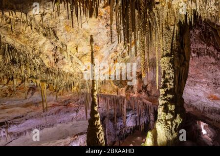 Detail der Stalaktiten und Stalagmiten in den Höhlen von Drach, Manacor, Mallorca, Spanien Stockfoto