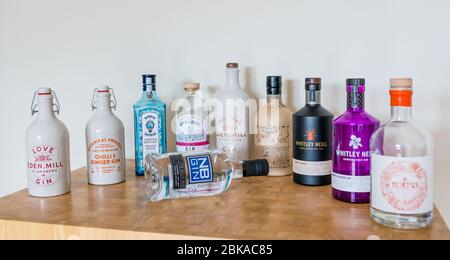 Ableforth's Eden Mill Steinzeug, Bombay Sapphire Limited Edition, Limehouse Gin, Ableforth's Badewanne, Whitley Neill, Hortus & NB Navy Strength Stockfoto