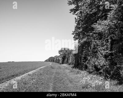 Schwarz-Weiß-Landschaft, die Außenseite des Grims Graben, der Ridgeway National Trail, Ipsden, Oxfordshire, England, Großbritannien, GB. Stockfoto