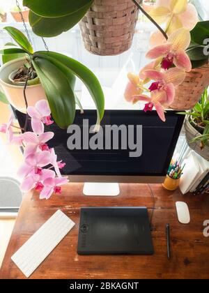 html und Orchidee in schwarzem Hintergrund, Bearbeitung und Arbeit zu Hause Stockfoto