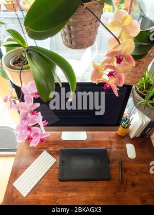 html und Orchidee im schwarzen Hintergrund Stockfoto