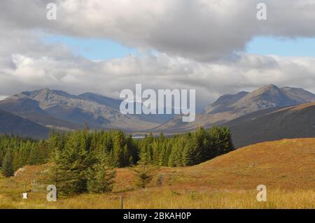 Loch Loyne in Schottland von der A87 Richtung Loch Cluanie Stockfoto