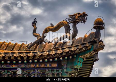 Vergoldeter Drache schmückt das Dach des Tempels von Xumi Fushou, einem der acht Äußeren Tempel von Chengde im Chengde Mountain Resort, Sommerresidenz Stockfoto