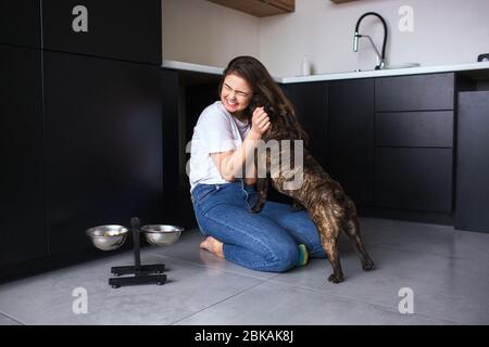 Junge Frau in der Küche während der Quarantäne. Mädchen spielt mit ihrem französischen Bulldogge Welpen. Hund leckt Wange der Frau. Gemeinsam in der Küche. Stockfoto