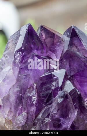 Amethyst ist eine violette Quarzsorte. Amethyst bedeutet „nicht berauscht“ Stockfoto