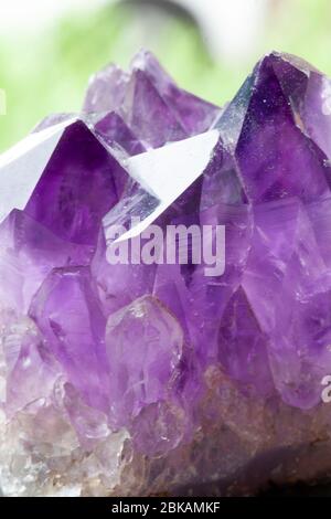 Amethyst ist eine violette Quarzsorte. Amethyst bedeutet „nicht berauscht“ Stockfoto