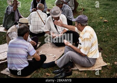 Alte Männer spielen das Spiel Domino im Schatten der Bäume. Stockfoto