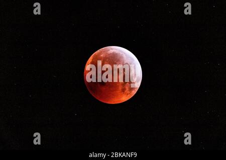 Blutmond am schwarzen Himmel Stockfoto