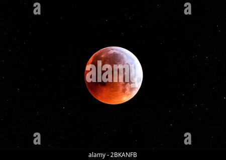 Blutmond am schwarzen Himmel Stockfoto